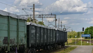 Miniatura: 1,5 tys. ton nielegalnych odpadów z...