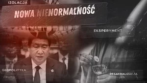 Miniatura: „Nowa nienormalność”. Diagnoza jutra