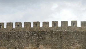 Miniatura: Ulubione więzienie Rogatki