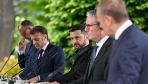 Miniatura: Mysz, która ryknęła