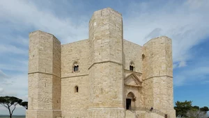 Miniatura: Kamienna zagadka