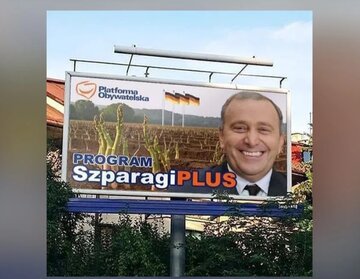 Memy po wyborach do Parlamentu Europejskiego 