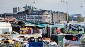 Miniatura: Szwecja oferuje imigrantom pieniądze za...