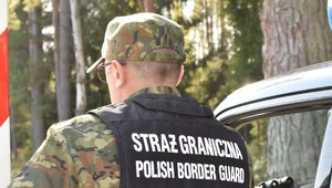 Miniatura: Przymusowa deportacja. Gruzini wydaleni z...