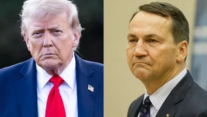 Miniatura: Sikorski przyznaje: Treść, i styl...