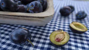 Miniatura: Powidła śliwkowe