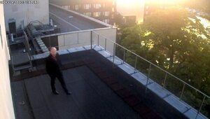 Miniatura: Poseł chodził po dachu. Kancelaria Sejmu...