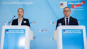 Miniatura: Sukces prawicy w wyborach landowych....