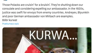 Miniatura: "Bóbr, ku**a". Komiczny wpis Miedwiediewa