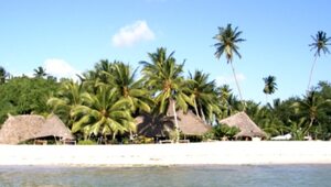 Miniatura: Zanzibar. Wyspa przypraw