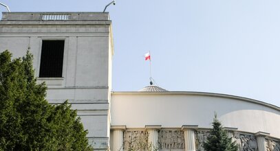 Miniatura: Jako jedyny głosował przeciwko zakazowi...