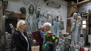 Miniatura: Sosnowe świadectwo