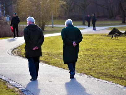 Miniatura: Seniorzy dostaną więcej pieniędzy. ZUS na...
