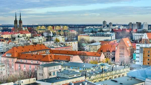 Miniatura: Kontrola agencji pracy dla cudzoziemców....