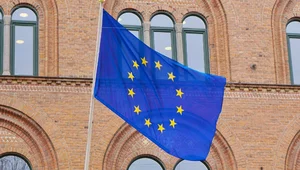 Miniatura: Ekspert: SAFE to pułapka. Niemcy próbują...