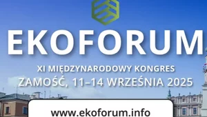 Miniatura: Zamość gospodarzem XI Międzynarodowego...