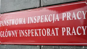 Miniatura: Masowe kontrole od stycznia. PIP bierze na...