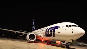 Miniatura: Kolejni Polacy wrócili z Bliskiego...