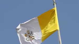 Miniatura: Watykan zabrał głos ws. dzieci porwanych z...