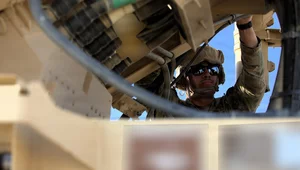 Miniatura: Pierwsza kroczy pycha