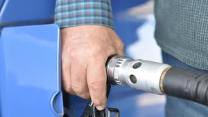 Miniatura: Tańsze paliwo dla seniorów. Jeden dokument...