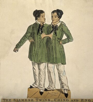 Chang i&nbsp;Eng na&nbsp;XIX-wiecznym rysunku.