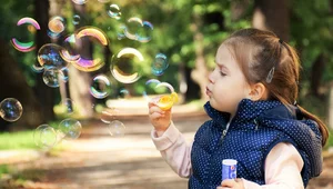 Miniatura: Sondaż: Czy Polacy chcą edukacji...