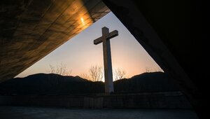 Miniatura: Alarmujący wzrost liczby ataków na...