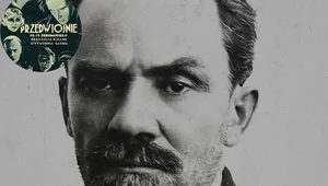 Miniatura: Zdefektowany Czaruś