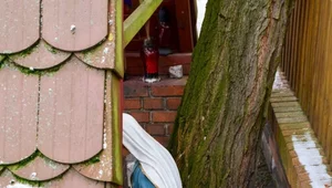 Miniatura: Bydgoszcz. Sprofanowano i zniszczono...