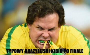 Polacy Mistrzami Świata - memy 