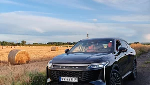 Miniatura: Omoga 9 Super Hybrid