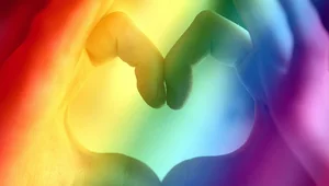 Miniatura: Nowe święto