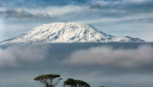 Miniatura: Katastrofa na najwyższym szczycie Afryki....