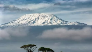 Miniatura: Katastrofa na najwyższym szczycie Afryki....