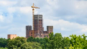 Miniatura: Rzeczpospolita zamczysta