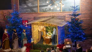 Miniatura: Zdewastował szopkę i okradł kościół....