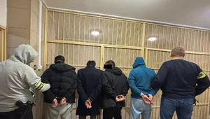 Miniatura: Przestępczość z importu