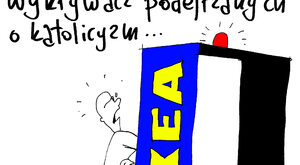 Wykrywacz IKEA