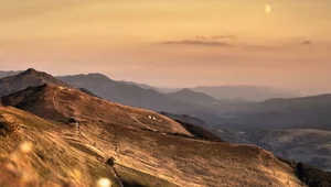 Miniatura: Bieszczady. Matka zostawiła dzieci na...