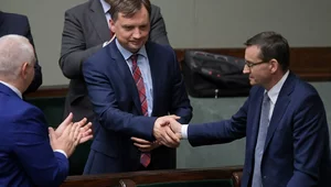 Miniatura: Szorstka przyjaźń