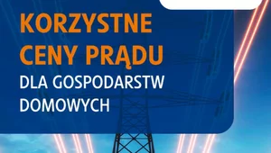 Miniatura: Korzystne ceny prądu dla gospodarstw domowych