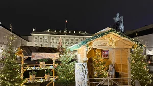 Miniatura: Stajenka przed Pałacem Prezydenckim....