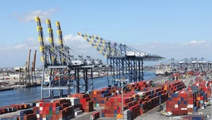 Miniatura: Wzrost polskiego eksportu. Wiemy, co z...