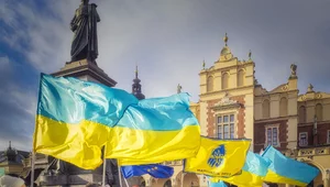 Miniatura: Praca to za mało. Ponad pół miliona...