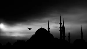 Miniatura: Ekspansja islamu we Francji