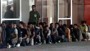 Miniatura: Nielegalni imigranci napływają masowo do...
