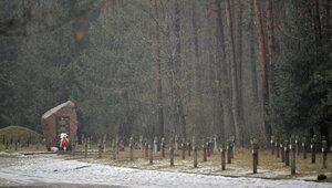 Miniatura: Czy miejsca pamięci o Żydach w Polsce mają...