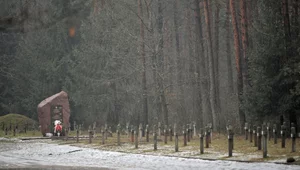 Miniatura: Czy miejsca pamięci o Żydach w Polsce mają...