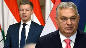 Miniatura: Wybory na Węgrzech. Orban i Magyar już...